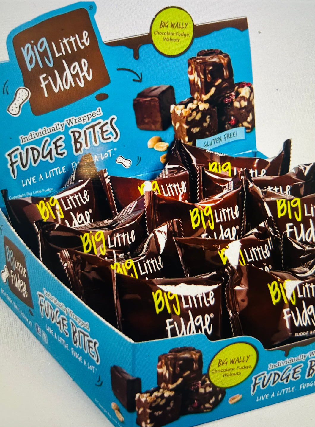 Big Little Fudge Big Wally